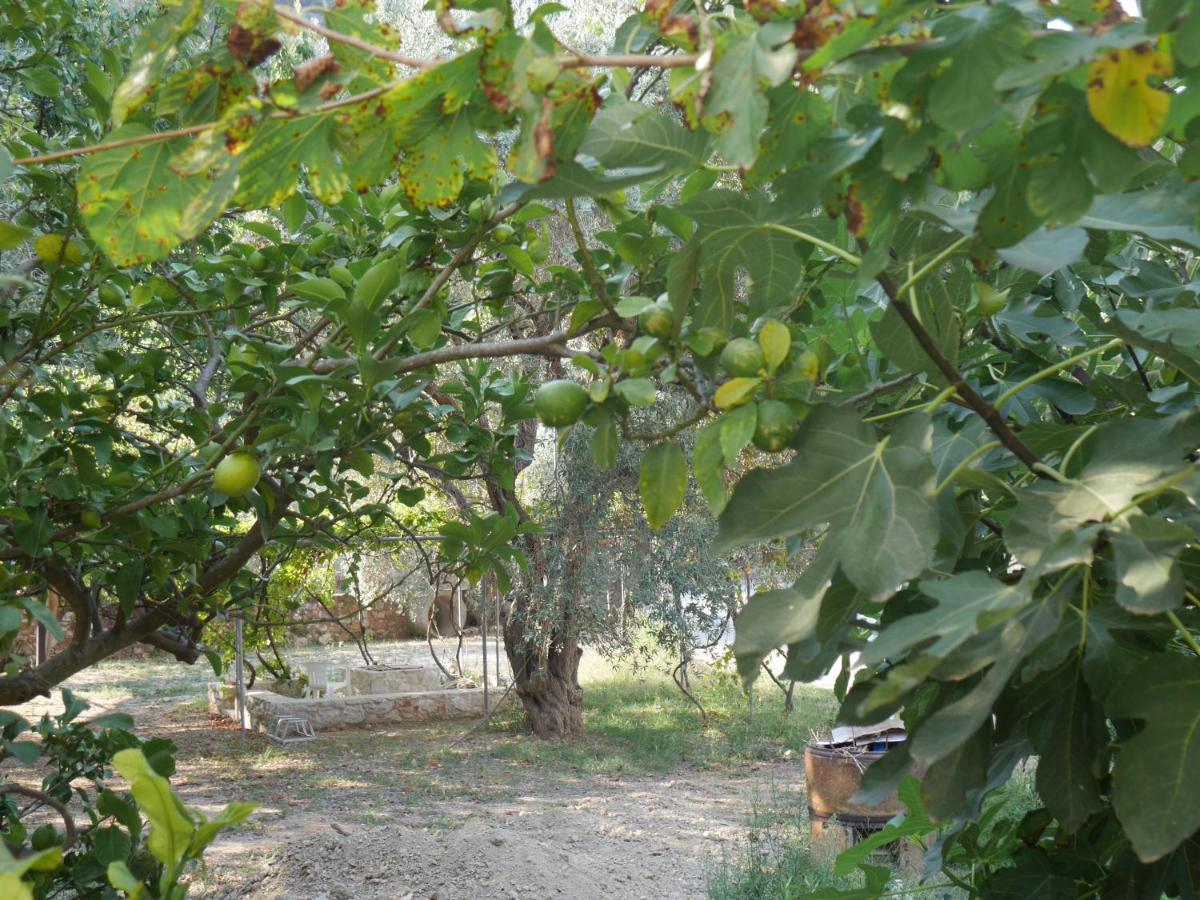O Pyrgos Accommodations Panormos  Eksteriør bilde